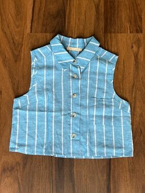 Olivaceous baby blue and white stripe button down collared sleeveless crop top
